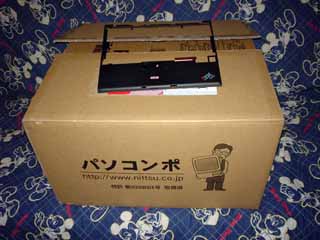x60palm1