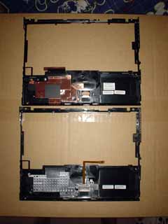 x60palm2