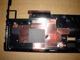 x60palm4